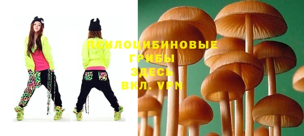 герыч Алексин
