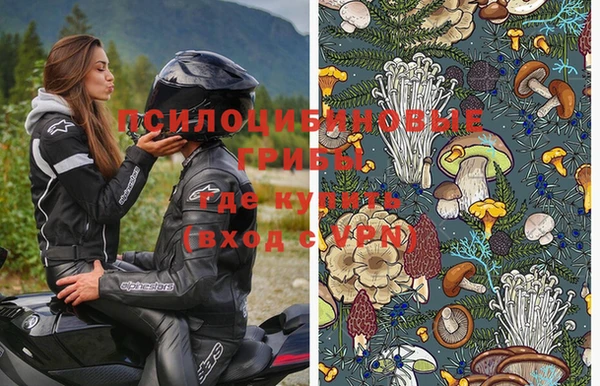 хмурый Алексеевка