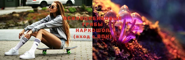 таблы Алзамай